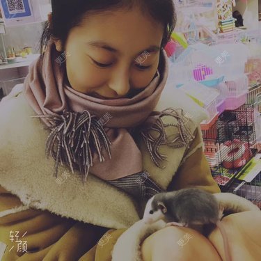 鞍山铁东区张玉霞星范医疗美容门诊部