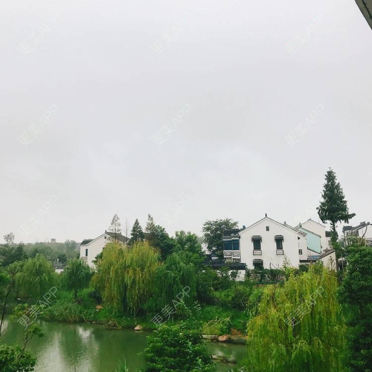 更美 - 更美用户KAxQDlSHWk的全瓷牙经验 | 全瓷牙 | 深圳