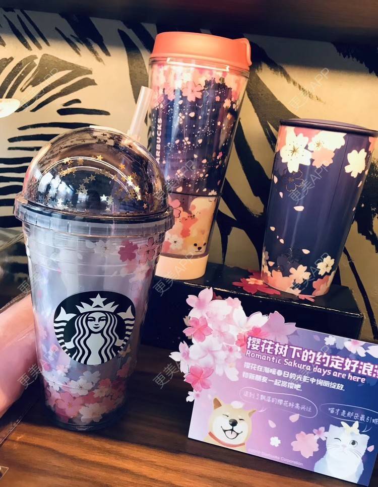 更美 - 枫叶上的小灰猫的膨体垫下巴经验 | 上海 | 视频日记 | 膨体垫下巴