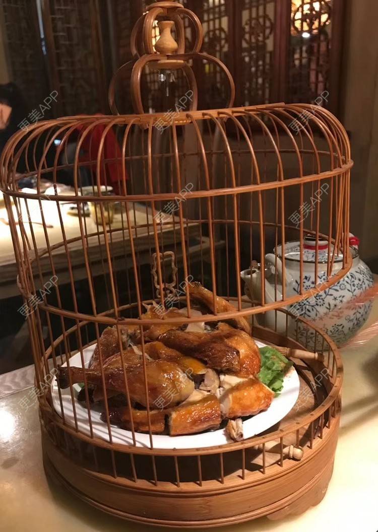 更美 - 枫叶上的小灰猫的膨体垫下巴经验 | 上海 | 视频日记 | 膨体垫下巴