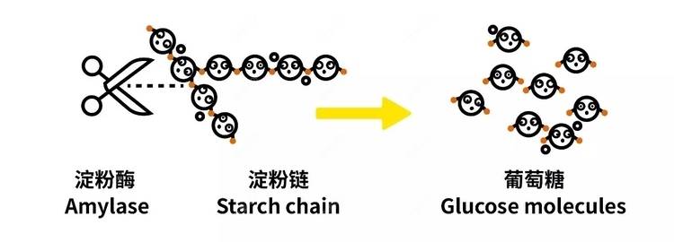 更美 - 更美用户3sssldGoCo的经验 | 白银