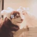 一线F