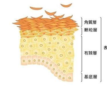 更美用户IjsbS0aExT
