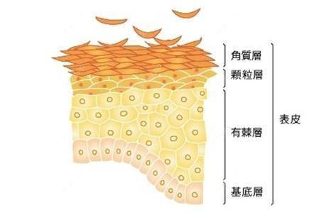 更美 - 更美用户IjsbS0aExT的经验