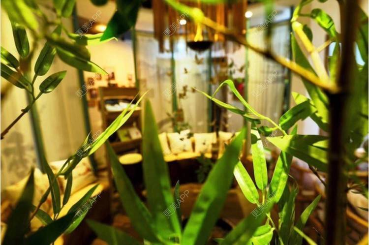 更美 - 更美用户jAs0SgIsLt的半永久纹发际线经验 | 北京 | 半永久纹发际线