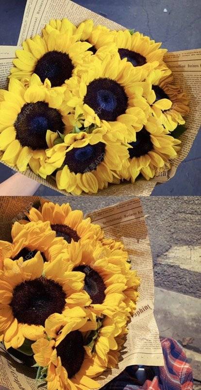 更美 - 本宫语的手术去副乳经验 | 手术去副乳 | 上海