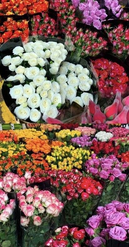 更美 - 本宫语的手术去副乳经验 | 手术去副乳 | 上海