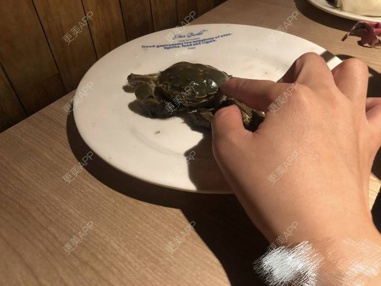 更美 - 更美用户hNU28EYmMA的激光脱发际线经验 | 激光脱发际线 | 上海