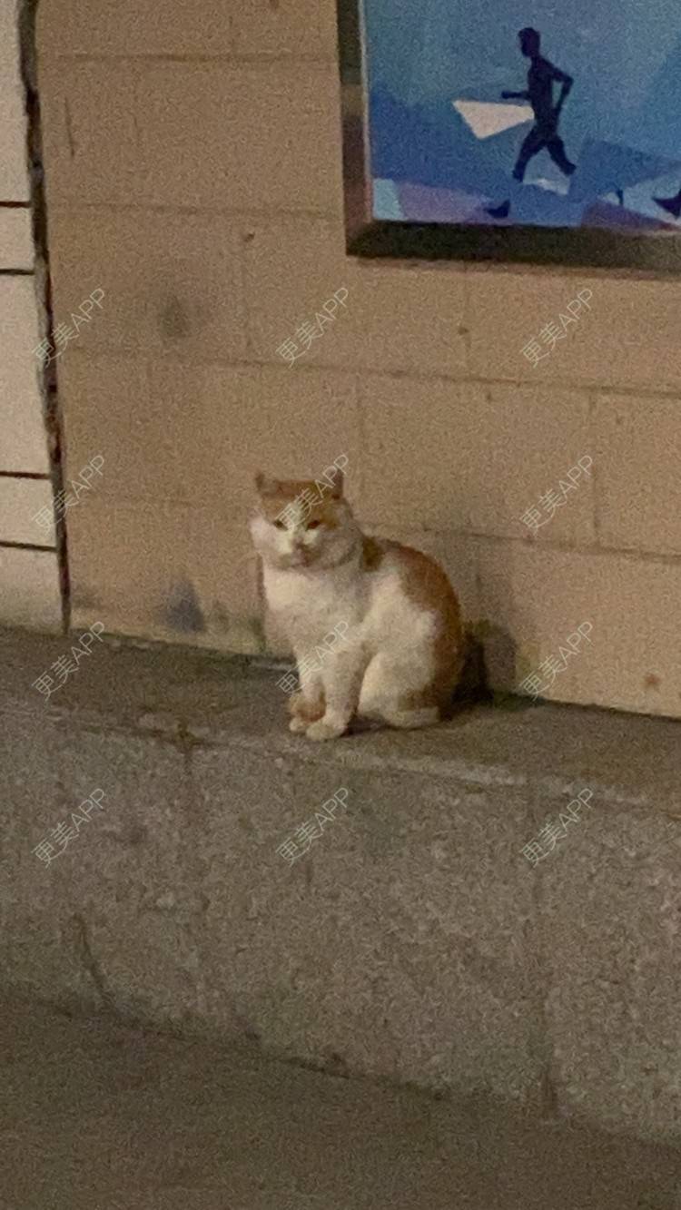 更美 - 更美用户nPE0gIwP3B的鼻翼缩小经验 | 鼻翼缩小 | 上海