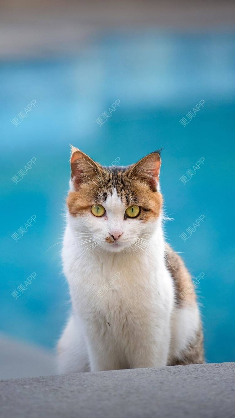 更美 - 风和雨一起刮的紧缩阴道经验 | 上海 | 紧缩阴道