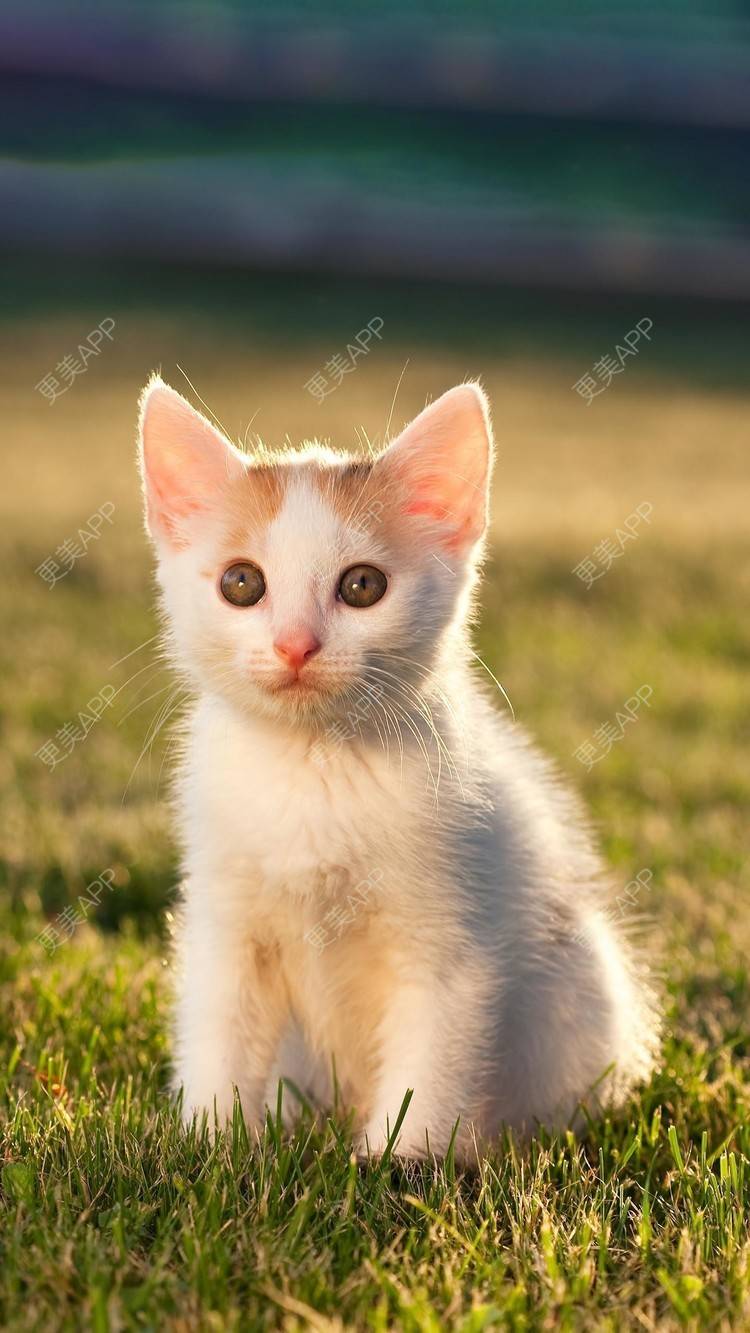 更美 - 风和雨一起刮的紧缩阴道经验 | 上海 | 紧缩阴道