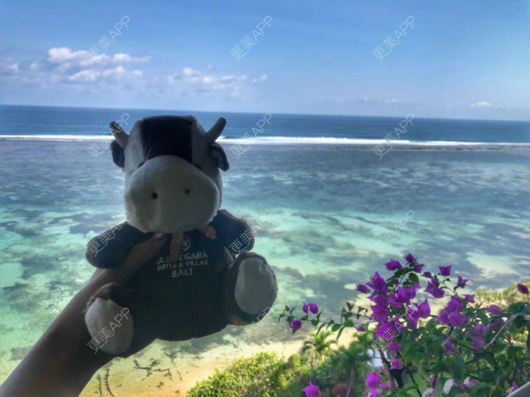 更美 - 海绵宝宝是海绵的处女膜修复经验 | 处女膜修复 | 上海 | 紧缩阴道