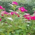更美用户xsxwoDIja5