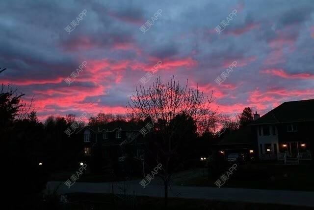 更美 - 冷葬花的激光紧缩阴道经验 | 激光紧缩阴道 | 上海