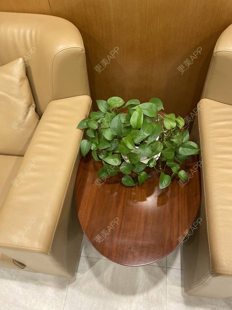 更美 - 冷葬花的激光紧缩阴道经验 | 激光紧缩阴道 | 上海