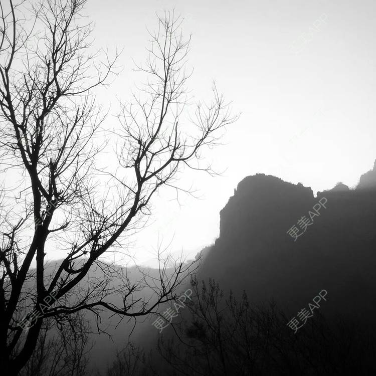 更美 - 冷葬花的激光紧缩阴道经验 | 上海 | 激光紧缩阴道