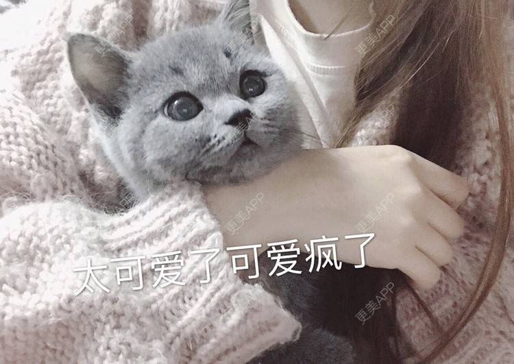 更美 - 更美用户Cc8k8aqC6m的乳头缩小经验 | 乳头缩小