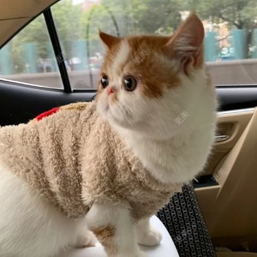 更美用户VzRyzEWuVP