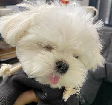 更美用户ZnpWfbUAQZ