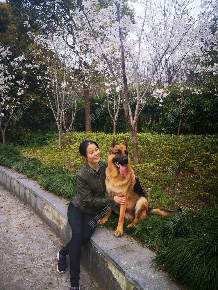 更美 - umgsd的植发际线经验 | 视频日记 | 植发际线 | 上海