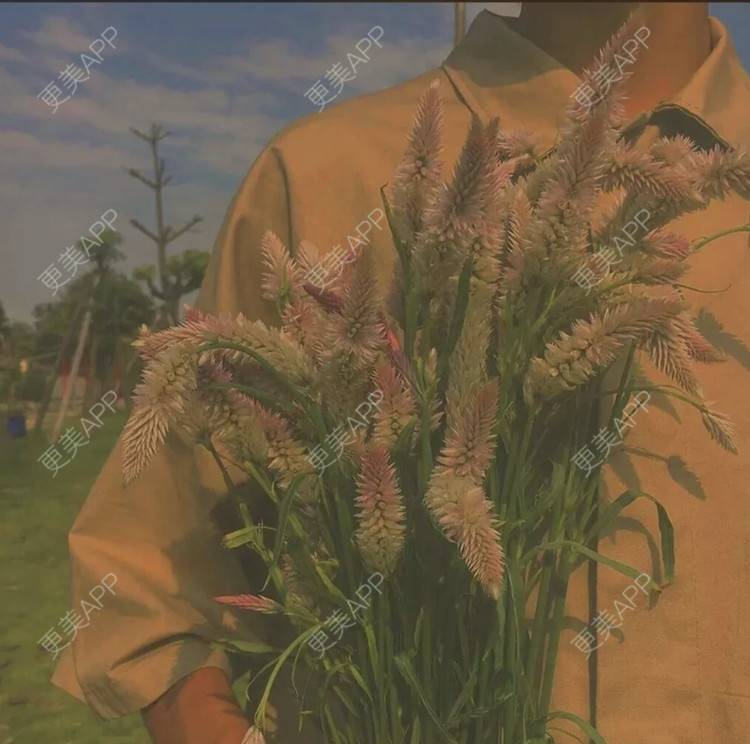 更美 - 祖安杠精的改善阴茎粗度经验 | 广州 | 改善阴茎粗度