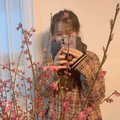枫爷///