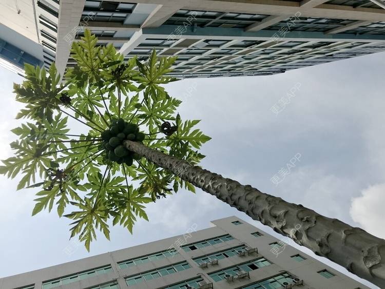 更美 - 深圳华厦眼科的全飞秒激光术经验 | 深圳 | 全飞秒激光术