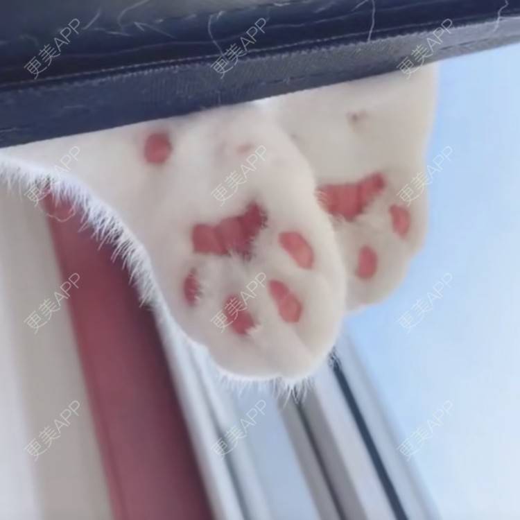 更美 - 圆方脸课代表ʚ😊ɞ的隆鼻经验 | 硅胶隆鼻 | 假体垫鼻基底 | 鼻部多项 | 自体软骨垫鼻尖 | 隆鼻 | 全切双眼皮 | 南京 | 耳软骨隆鼻 | 视频日记