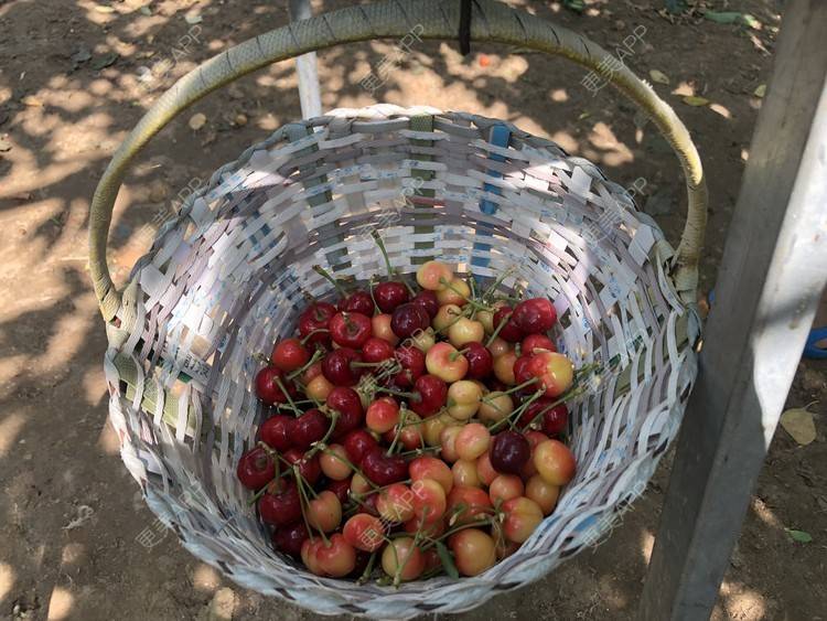 更美 - 请叫我小花的吸脂瘦大腿经验 | 吸脂瘦大腿 | 北京