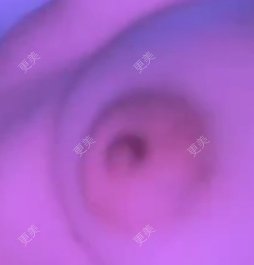 心心🐷