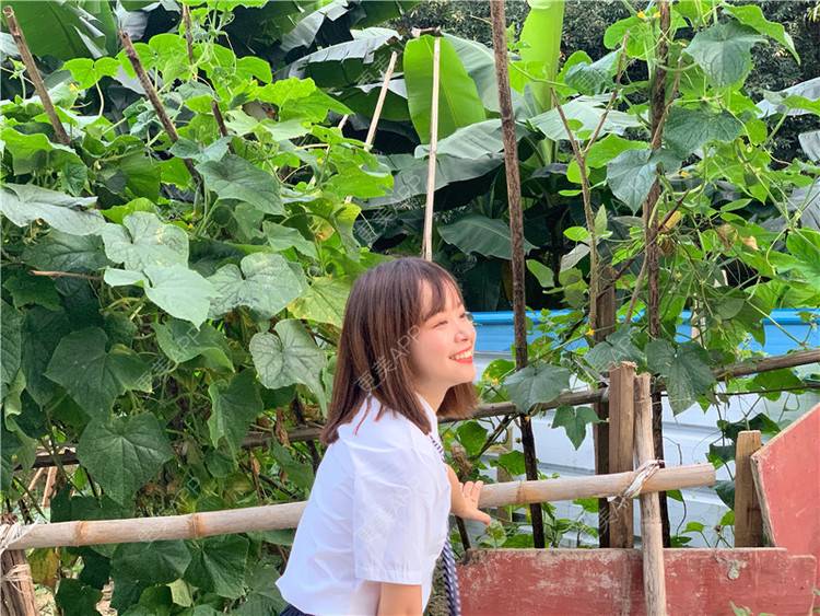 更美 - ε给我一个晚安吻孟的超声波洗牙经验 | 武汉 | 超声波洗牙