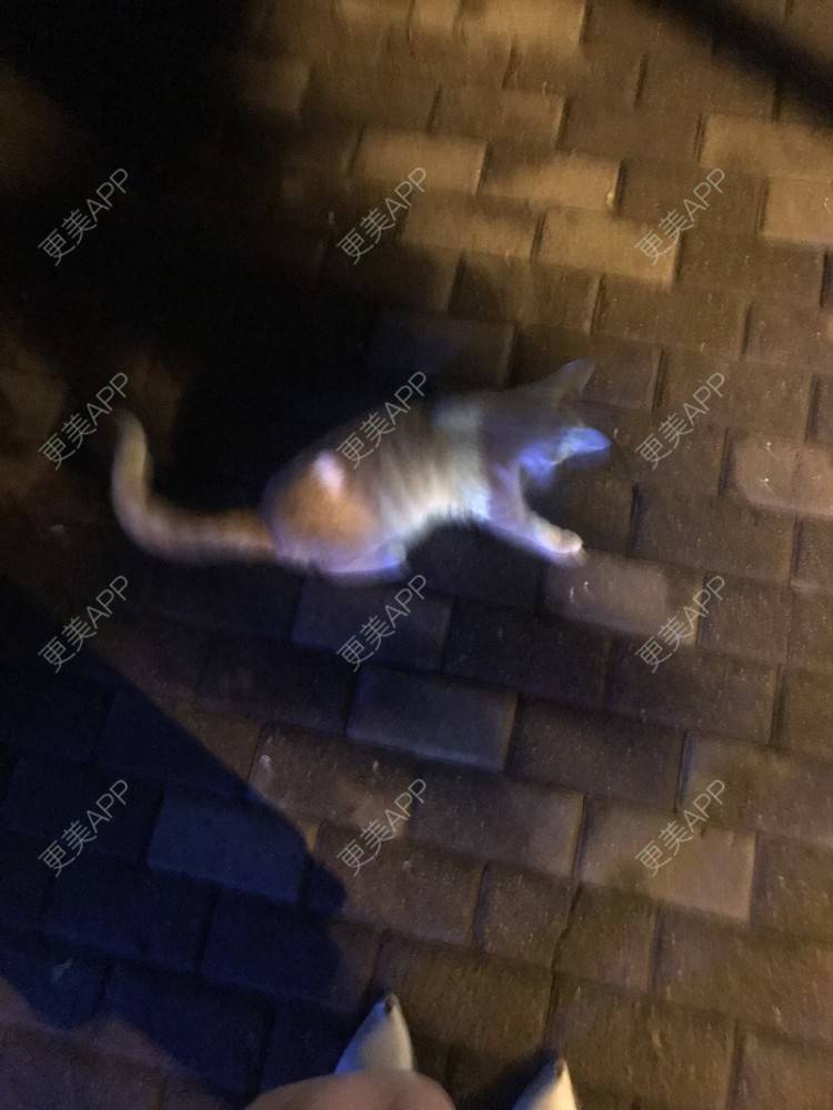 更美 - 更美用户jXjd7AckA8的冷光美白经验 | 冷光美白 | 上海 | 超声波洗牙