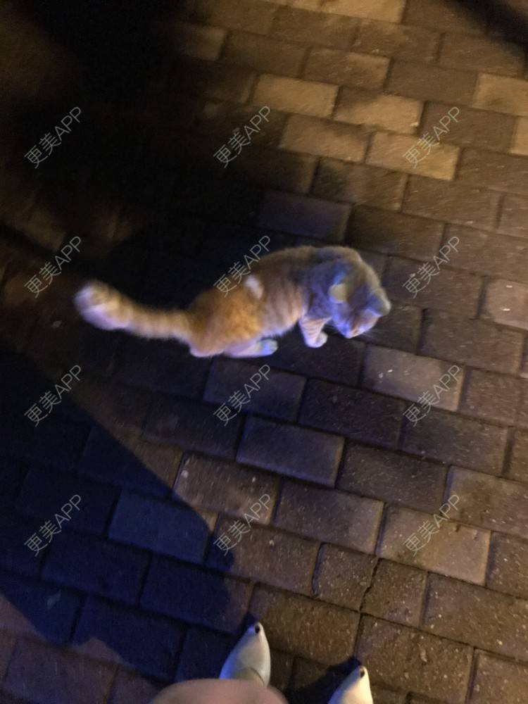 更美 - 更美用户jXjd7AckA8的冷光美白经验 | 冷光美白 | 上海 | 超声波洗牙