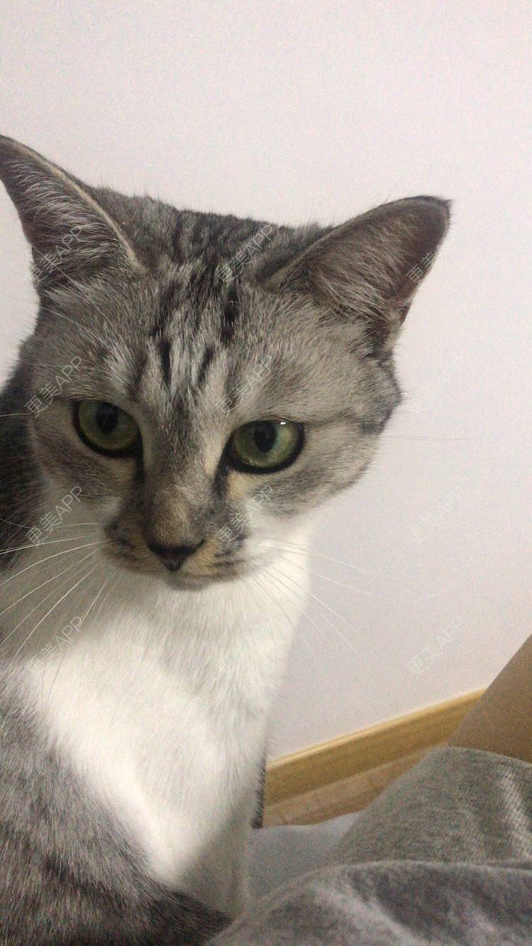 更美 - 更美用户jXjd7AckA8的冷光美白经验 | 冷光美白 | 上海 | 超声波洗牙