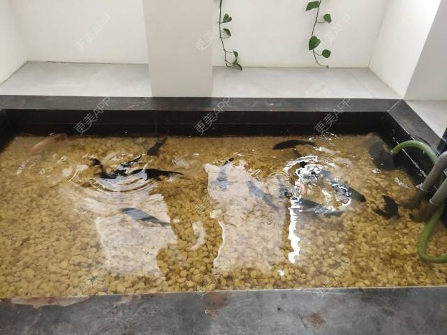 更美 - A阑珊的水光项目经验 | 郑州 | 水光项目