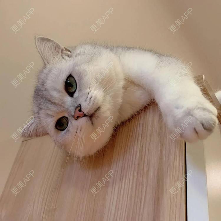 更美 - 更美用户IklpvsWHkC的除皱瘦脸经验 | 除皱瘦脸 | 南京