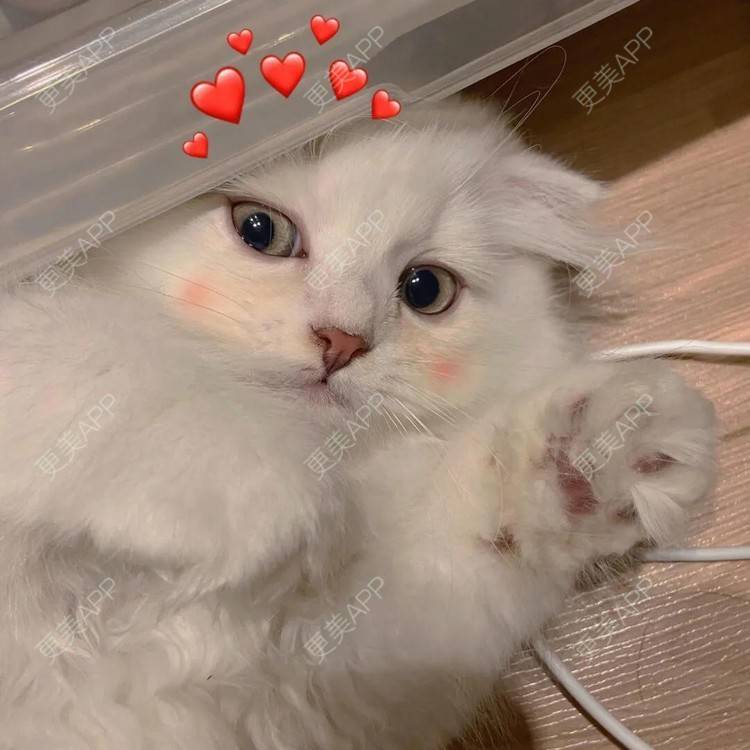 更美 - 更美用户IklpvsWHkC的除皱瘦脸经验 | 除皱瘦脸 | 南京