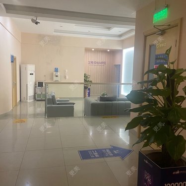 叛爱生死