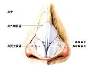 更美 - 吴松 医生的肋软骨隆鼻经验 | 肋软骨隆鼻 | 重庆 | 鼻中隔软骨隆鼻