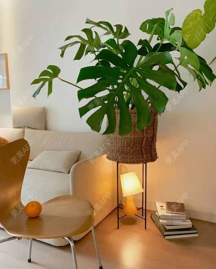 更美 - 琪玖的私密护理经验 | 女性私密 | 私密护理 | 北京