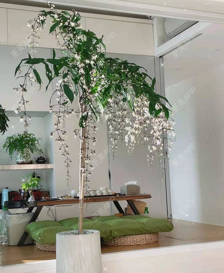 更美 - 情缘天定的私密护理经验 | 女性私密 | 私密护理 | 北京