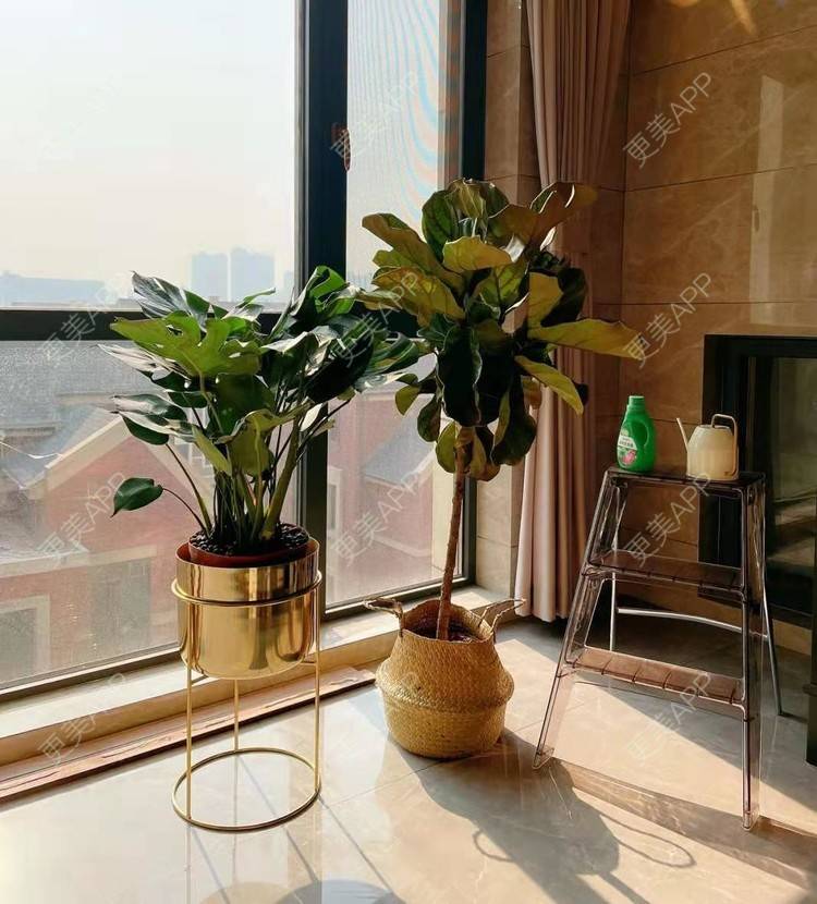 更美 - 丝丝情丝的私密护理经验 | 女性私密 | 私密护理 | 北京