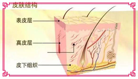 更美 - kris味苮女廖的埋线提升经验 | 北京 | 埋线提升
