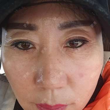 我是一只小小鸟🐦