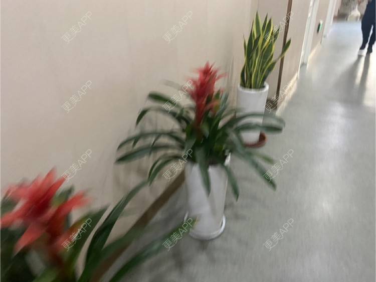 更美 - 野鬼暗香吻的除皱瘦脸经验 | 除皱瘦脸 | 合肥