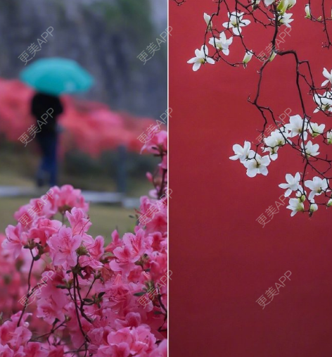 更美 - 更美用户3cijbtsqYC的私处漂红经验 | 私处漂红 | 广州