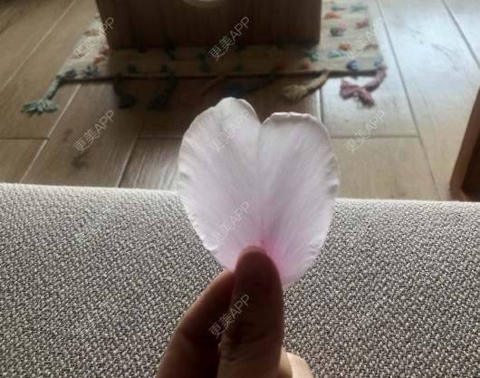 更美 - 更美用户VMqbc2XO3q的乳晕漂染经验 | 乳晕漂染 | 广州