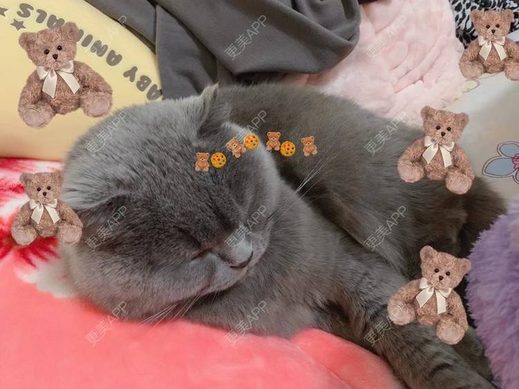 更美 - 更美用户wXxnlJ3b0c的手术去副乳经验 | 手术去副乳