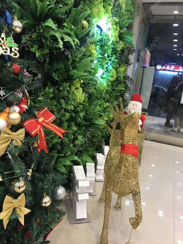 更美 - 更美用户4tckin9hrt的鼻中隔软骨隆鼻经验 | 鼻中隔软骨隆鼻 | 深圳