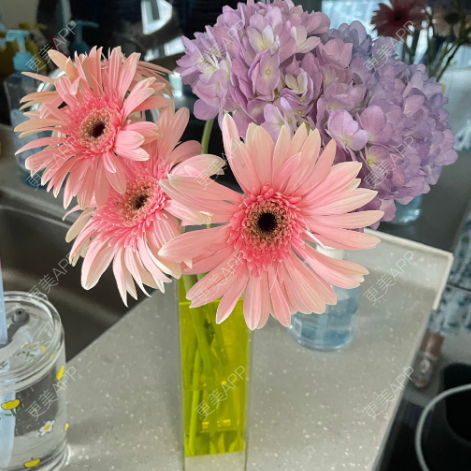 更美 - 更美用户UwLVRJ9P8W的阴唇整形经验 | 广州 | 阴唇整形